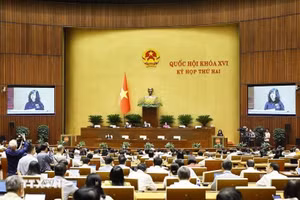 Bộ trưởng Bộ Y tế Đào Hồng Lan, thừa ủy quyền của Thủ tướng trình bày tờ trình về 3 dự án Luật
