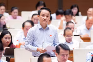 Đại biểu Lê Văn Thế, Đoàn ĐBQH tỉnh Ninh Bình.