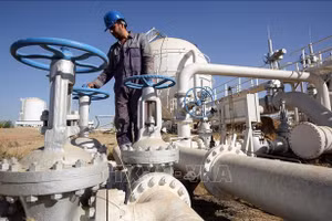 Chuyên gia lý giải vì sao OPEC+ không thể kiềm chế được 'thành viên đi ngược'