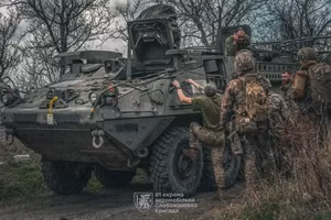 Thiết giáp Stryker bất ngờ xuất hiện trong biên chế Lữ đoàn Dù 81