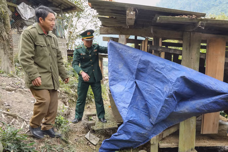 chong-ret-trau-bo-4.jpg