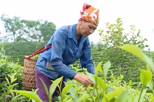 Người dân chủ động đổi mới, sáng tạo sau khi được hướng nghiệp.