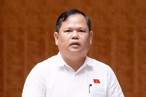 Đại biểu Quốc hội Nguyễn Duy Thanh (Cà Mau) đề nghị nâng ngưỡng doanh thu chịu thuế với hộ kinh doanh lên 3 tỷ đồng/năm. 
