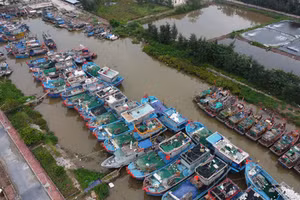 Khu neo đậu tàu thuyền tại cảng cá Ninh Cơ (Ninh Bình).