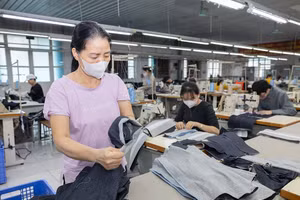 Gắn đào tạo nghề với sinh kế bền vững