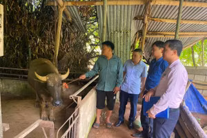 Nhờ nguồn vốn đầu tư từ Chương trình 135, đời sống của đồng bào DTTS ngày càng được nâng cao.