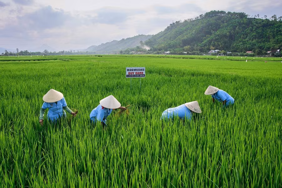 Người dân được học nghề ngay tại các mô hình thực tế, từ đó dễ tiếp thu, dễ áp dụng, tạo ra việc làm ổn định. Ảnh: NVCC
