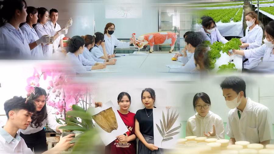 khoikhss-anh1.png