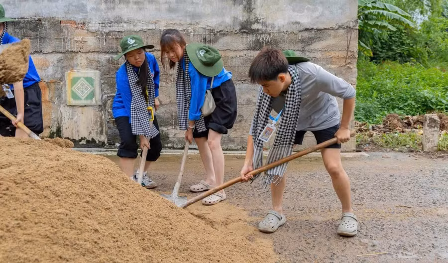 truong-dai-hoc-kinh-te-da-nang-mua-he-xanh.jpg