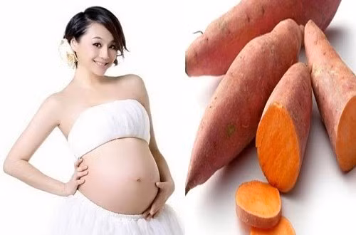 Khoai lang tốt cho mẹ bầu giúp thai nhi phát triển trí não toàn diện hơn