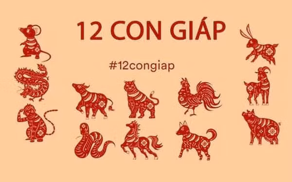 tu-vi-12-con-giap-01