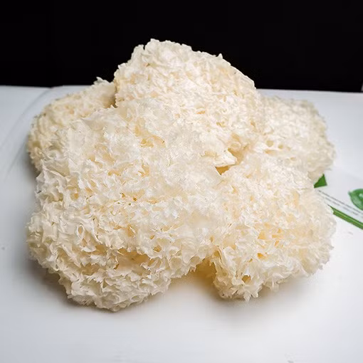 Tuyết nhĩ ở dạng khô.