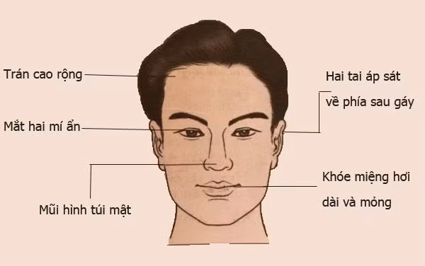Tướng đàn ông tài năng giàu có