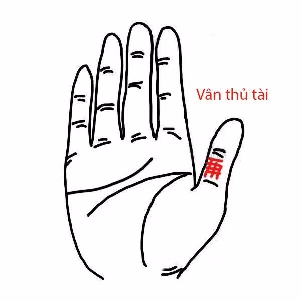 4-duong-van-tay-hut-vang-02