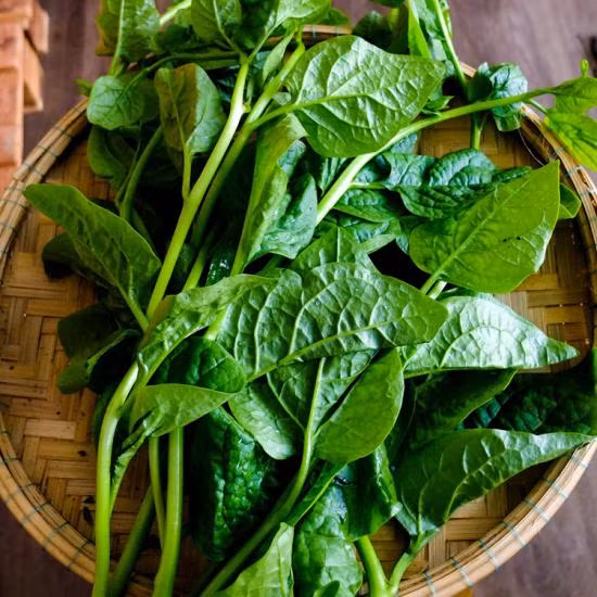loai-rau-lanh-tinh-danh-cho-phu-nu-sau-sinh-01