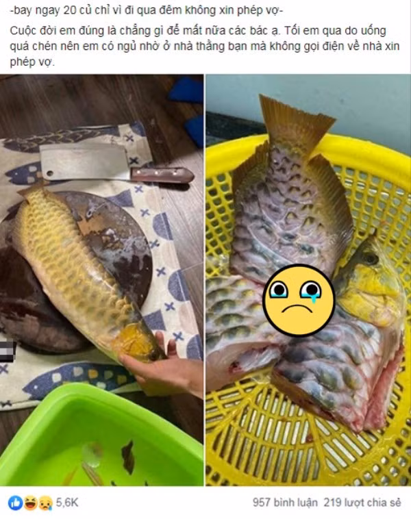 Chồng mê nhậu ngủ nhà bạn không về, vợ làm thịt cá rồng chục triệu