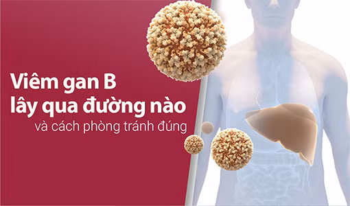 Viêm gan B lây qua đường nào