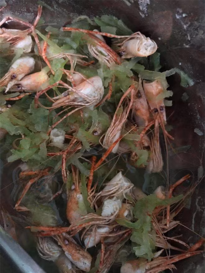Vợ "cười không nhặt được mồm" khi thấy món canh bí với đầu tôm chồng nấu ảnh 2