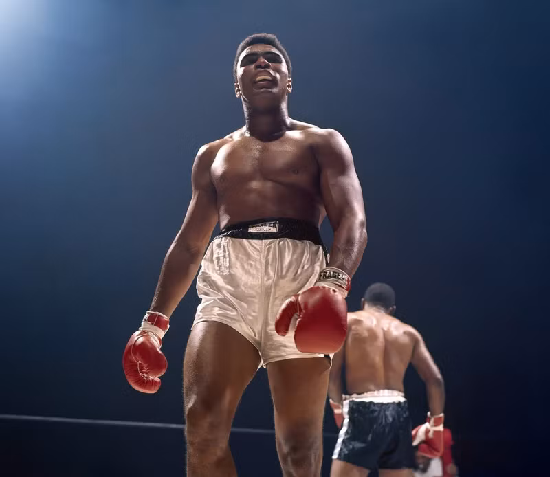 ali-timelineheader2.jpg