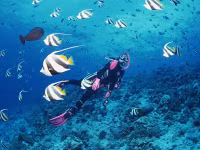 3 lý do Nha Trang đạt top 10 điểm đến hấp dẫn nhất Châu Á 2016 ảnh 3 3 lý do Nha Trang đạt top 10 điểm đến hấp dẫn nhất Châu Á 2016 ảnh 3