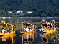 Cảnh sắc thần tiên ở Kashmir ảnh 11