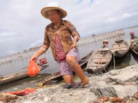 “Dị nhân” đầm Chuồn ảnh 2
