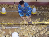 Những món quà thiết thực gửi đến Trường Sa ảnh 2 Những món quà thiết thực gửi đến Trường Sa ảnh 2