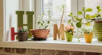 Cách trang trí cửa sổ thành góc thư giãn đẹp như thơ