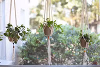 Cách trang trí cửa sổ thành góc thư giãn đẹp như thơ