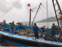 Nghệ An: Khẩn trương các biện pháp ứng phó với bão số 10 ảnh 1