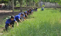 Đẹp mãi màu áo xanh tình nguyện ảnh 1