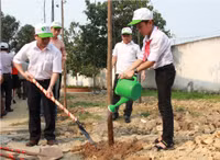 Nghệ An: Chung tay xanh hóa học đường ảnh 3