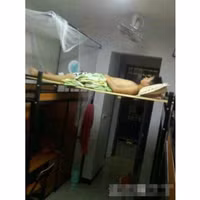 dan choi xem anh chong nong giua mua... tuyet roi hinh anh 6