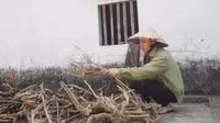 Nghệ An: Nữ sinh đậu Hoc viện Toà án mong được tiếp sức đến trường ảnh 4