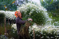 Có một Hà Nội tươi tắn trong những góc nhìn… ảnh 11