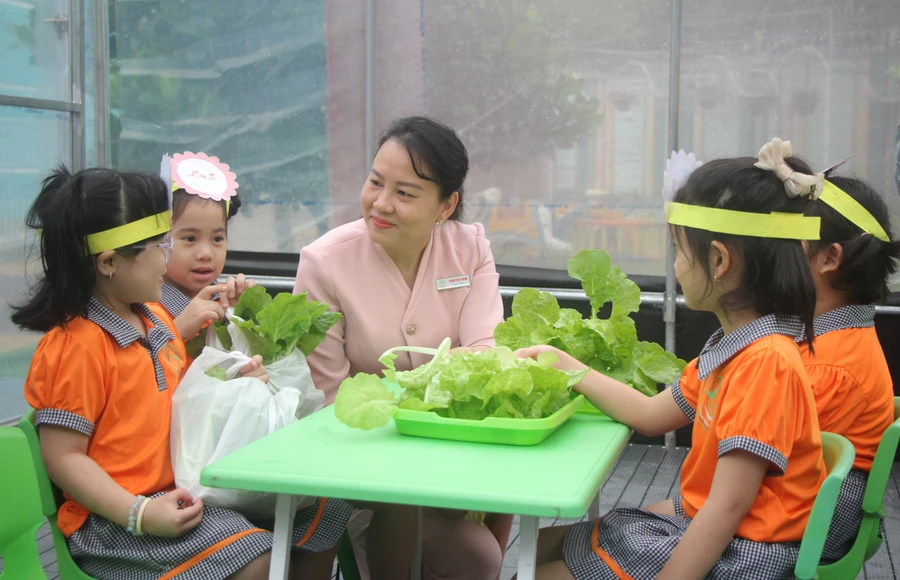 Trẻ lớp Lá, Trường mầm non Tân Phong trải nghiệm tại vườn rau của trường.