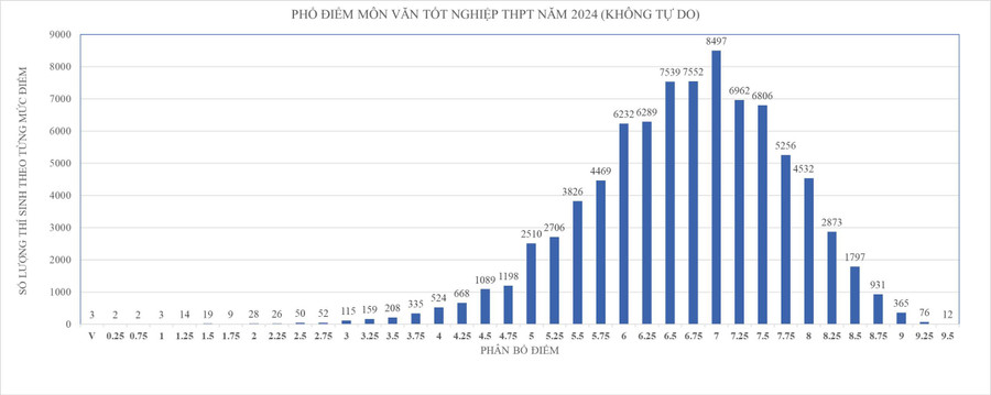 tra-cuu-diem-thi-tot-nghiep-thpt-nam-2024 (1).jpg