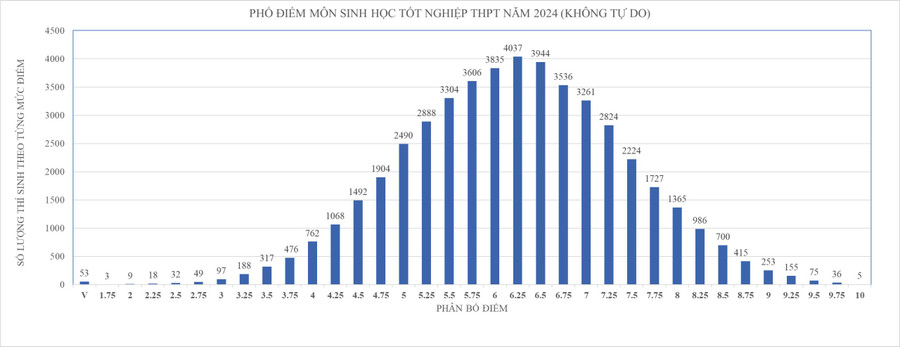 tra-cuu-diem-thi-tot-nghiep-thpt-nam-2024 (3).jpg