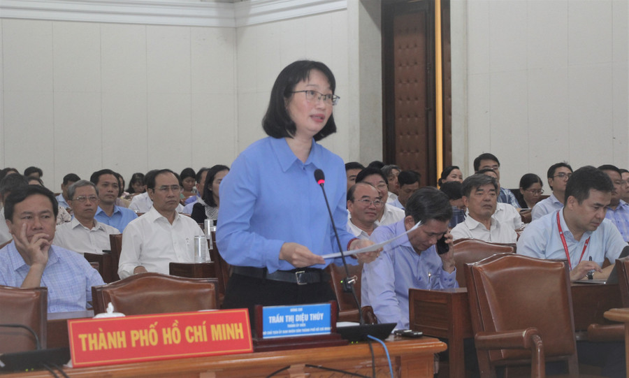 Bà Trần Thị Diệu Thúy phát biểu tham luận tại hội nghị. tphcm.jpg