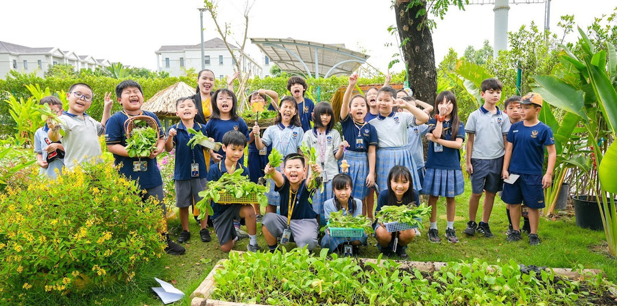 Victoria School xây dựng môi trường học xanh và thân thiện. 3.jpg