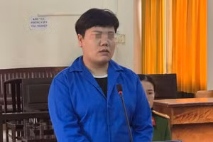 Người phụ nữ lĩnh án 16 năm tù về tội "Lừa đảo chiếm đoạt tài sản".