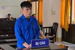 Lê Minh Châu bị phạt 7 năm tù về tội làm giả giấy tờ đất chiếm đoạt tiền. Ảnh: Văn Vũ.