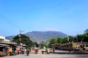 Đường về xã Cô Tô, tỉnh An Giang. Ảnh: Trọng Nhân.