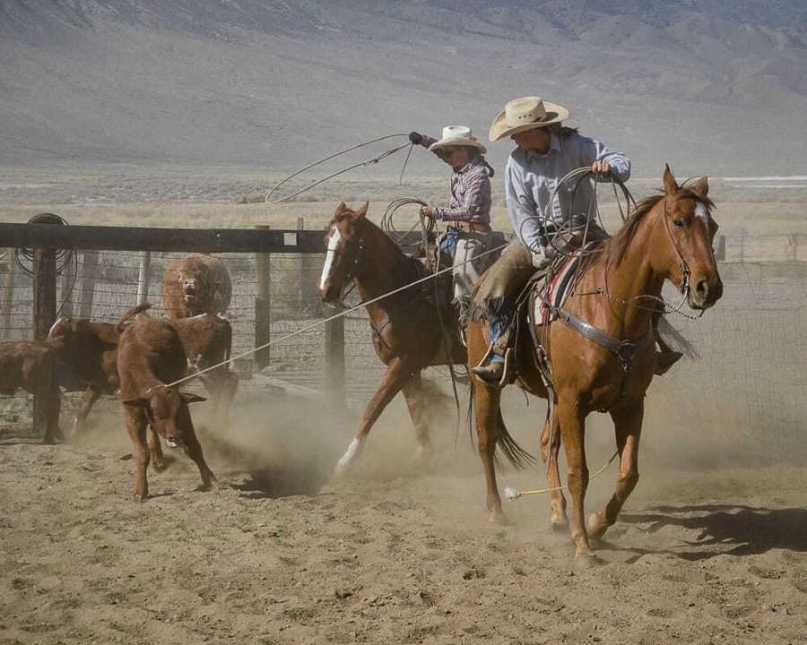 trường đại học kỳ lạ ảnh 1 truong dai hoc ky la anh 1