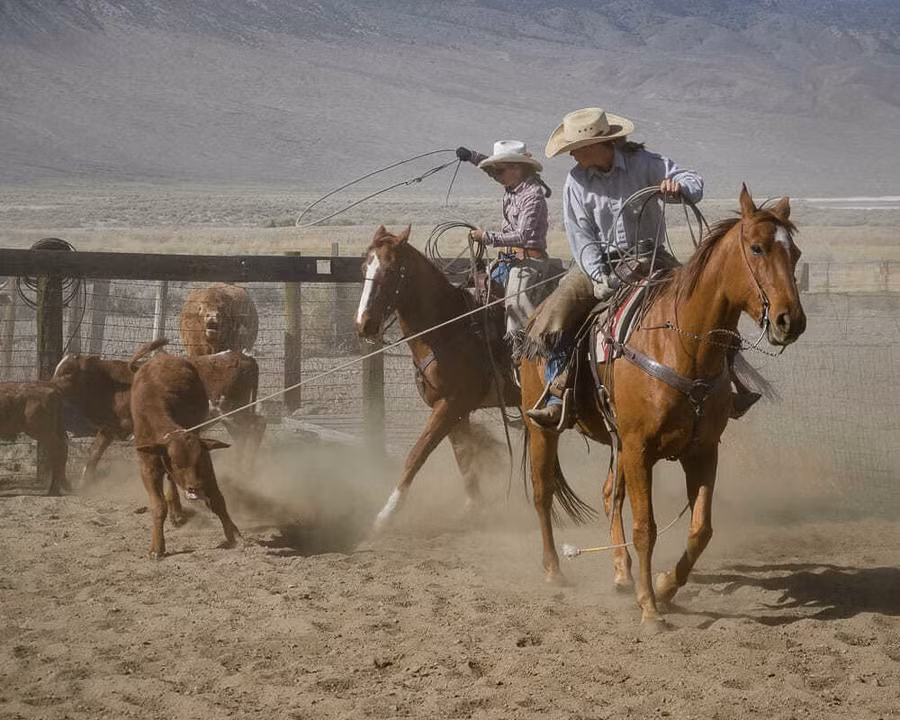 truong dai hoc ky la anh 1