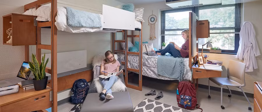 truong dai hoc ky la anh 2