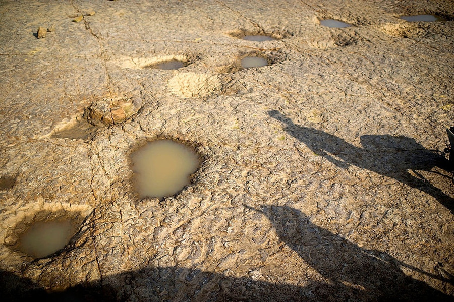 khủng long bạo chúa ảnh 8 khung long bao chua anh 8