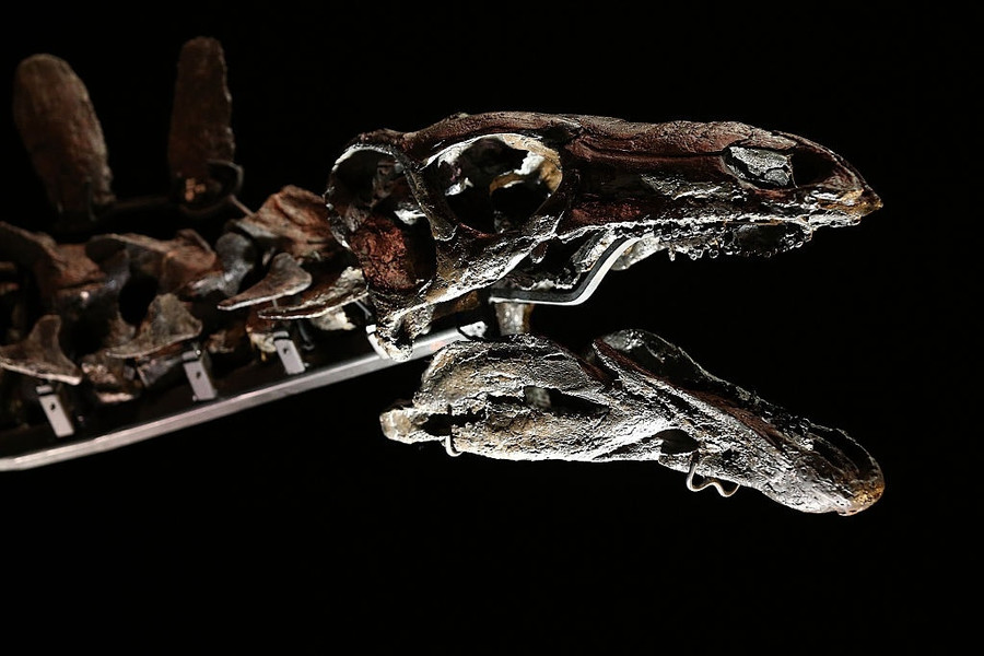 khủng long bạo chúa ảnh 10 khung long bao chua anh 10