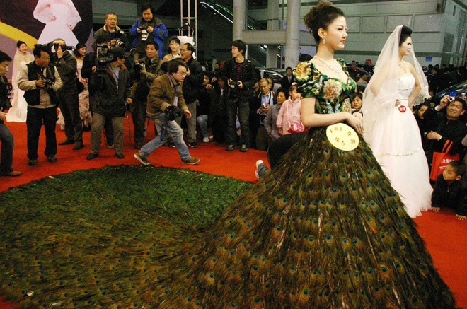 Vera Wang từng gây chú ý khi thiết kế nên chiếc váy cưới làm từ lông công. Khác biệt hoàn toàn với những mẫu váy cưới phổ biến, nó được làm từ 2.009 chiếc lông của công đực. Nhà mốt này phải huy động tới 8 nghệ nhân chuyên nghiệp để hỗ trợ công đoạn khâu những chiếc lông lại với nhau. Vì vậy, chiếc váy trị giá 1,5 triệu USD. Ảnh: Dr. Cici Blog. Vera Wang từng gây chú ý khi thiết kế nên chiếc váy cưới làm từ lông công. Khác biệt hoàn toàn với những mẫu váy cưới phổ biến, nó được làm từ 2.009 chiếc lông của công đực. Nhà mốt này phải huy động tới 8 nghệ nhân chuyên nghiệp để hỗ trợ công đoạn khâu những chiếc lông lại với nhau. Vì vậy, chiếc váy trị giá 1,5 triệu USD. Ảnh: Dr. Cici Blog.