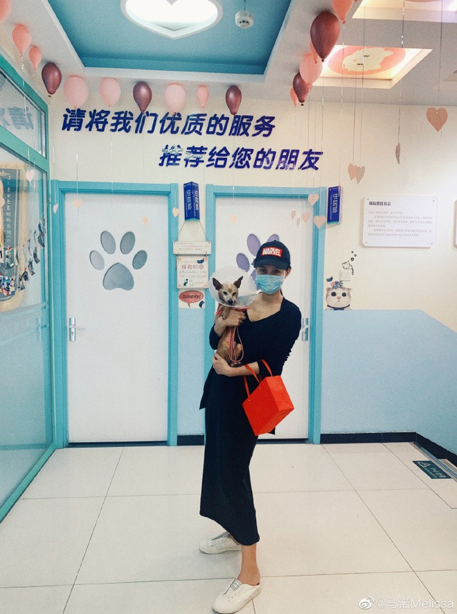 hiện tượng mạng trung quốc ảnh 6 hien tuong mang trung quoc anh 6